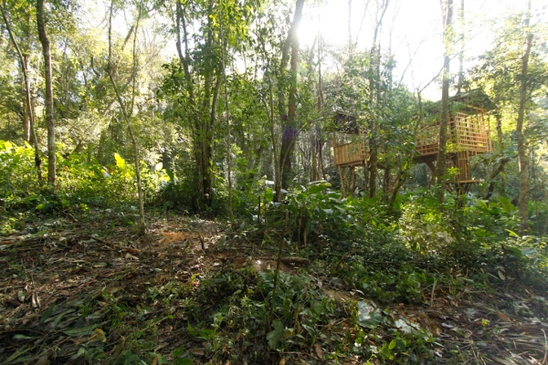 3天2夜“瀑布和鸟巢”徒步旅行