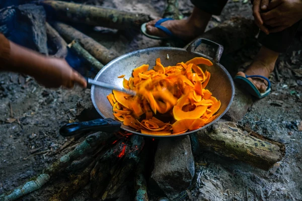 3天2夜“瀑布和鸟巢”徒步旅行