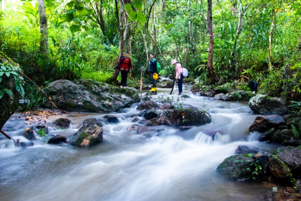3天2夜“瀑布和鸟巢”徒步旅行