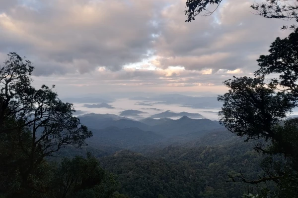 ทัวร์เดินป่า ในป่าฝนที่ท้าทาย 5 วัน 4 คืน