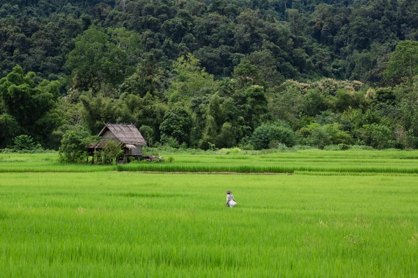 4 Days North Laos Insight Tour - Nam Ou River & Nong Khiaw}