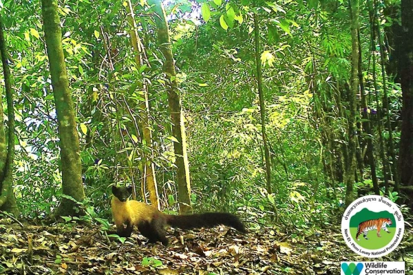 3天2夜“瀑布和鸟巢”徒步旅行