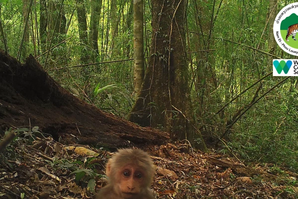 3天2夜“瀑布和鸟巢”徒步旅行