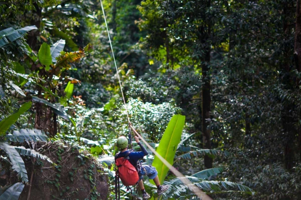 Tree Top Explorer (3 Days/2 Nights)}