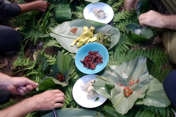 ทัวร์เดินป่า ในป่าฝนที่ท้าทาย 5 วัน 4 คืน