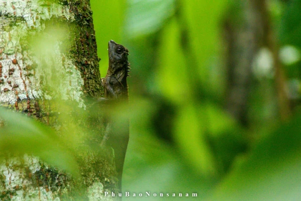 ทัวร์เดินป่า ในป่าฝนที่ท้าทาย 5 วัน 4 คืน