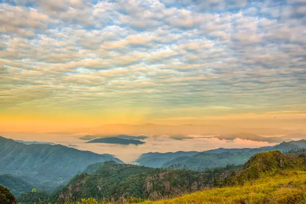 ຍ່າງປ່າ, ຕັ້ງແຄ້ມທີ່ພູຫຍ້າຄາ, ຊົມທະເລມອກ}