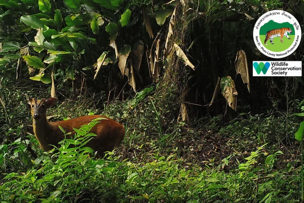 3天2夜“瀑布和鸟巢”徒步旅行