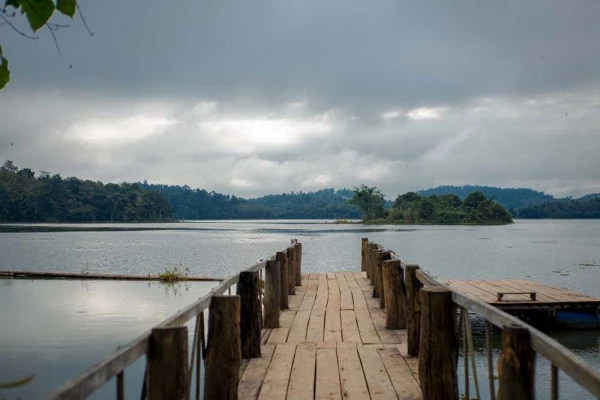 Discover Sayabouly's Elephant Sanctuary: A 3 Days - 2 Nights Wildlife Adventure