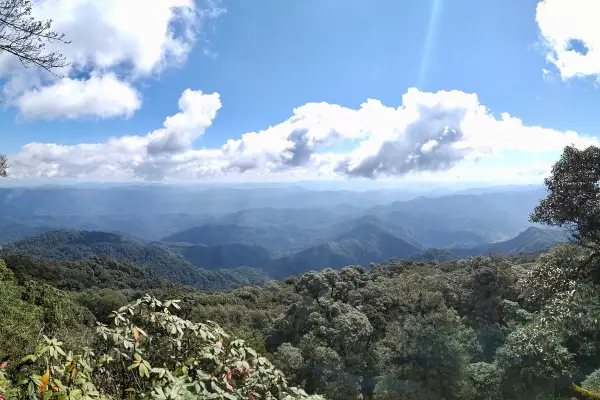 ຄວາມທ້າທາຍໃນປ່ານໍ້າໝອກ ( ບໍ່ລວມໂຮມສະເຕ )