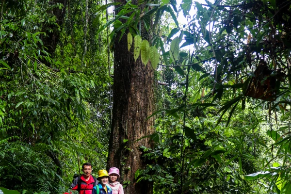 3天2夜“瀑布和鸟巢”徒步旅行