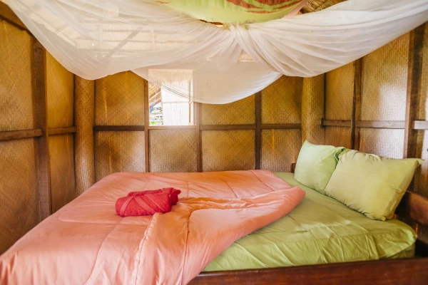 Experience Elephant Conservation Center in Sayabouly: A 2 Days - 1 Night Adventure