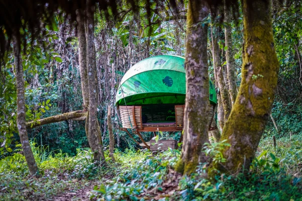 2天1夜“巢穴”徒步行程。