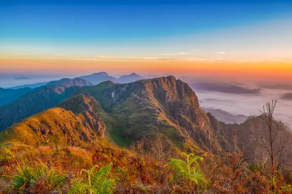 ຍ່າງປ່າ, ຕັ້ງແຄ້ມທີ່ພູຫຍ້າຄາ, ຊົມທະເລມອກ