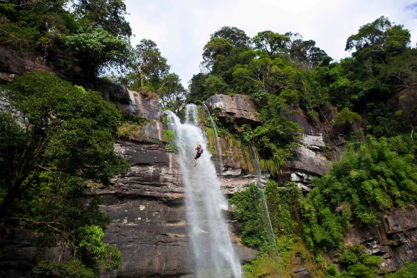 Tree Top Explorer (3 Days/2 Nights)}