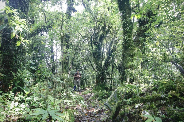 ทัวร์เดินป่า ในป่าฝนที่ท้าทาย 5 วัน 4 คืน