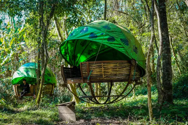 ຄວາມທ້າທາຍໃນປ່ານໍ້າໝອກ ( ບໍ່ລວມໂຮມສະເຕ )}
