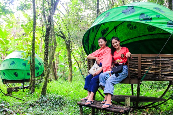 3天2夜“瀑布和鸟巢”徒步旅行