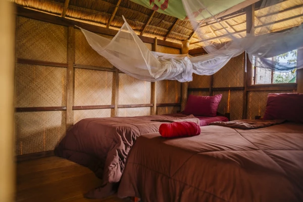 Discover Sayabouly's Elephant Sanctuary: A 3 Days - 2 Nights Wildlife Adventure