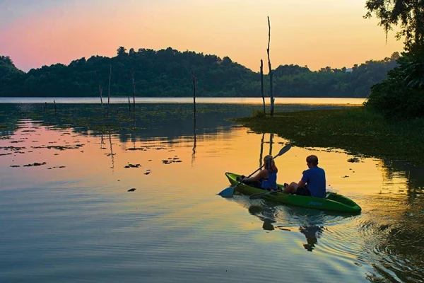 Discover Sayabouly's Elephant Sanctuary: A 3 Days - 2 Nights Wildlife Adventure