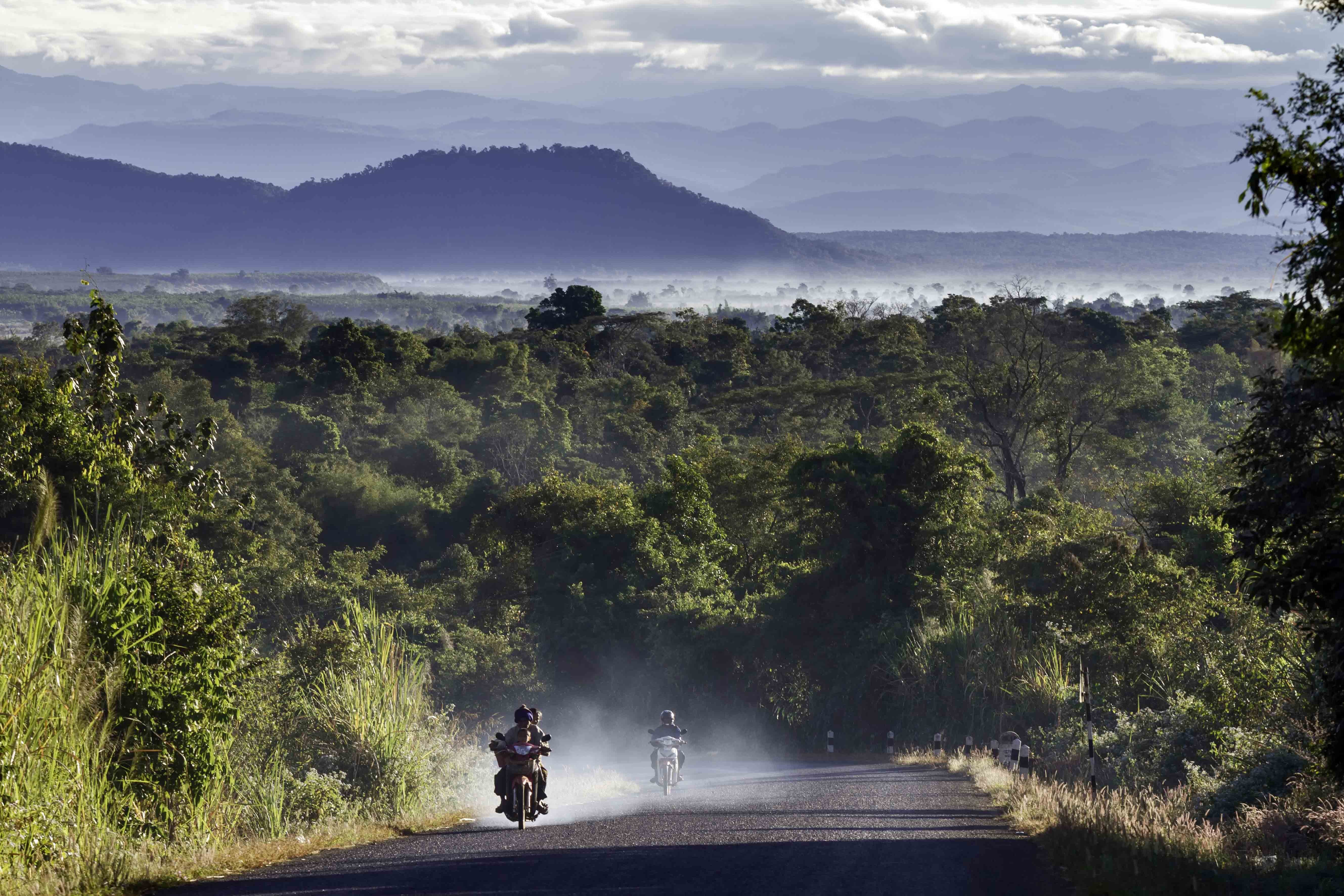 The Bolaven Plateau: a Coffee Lover’s Paradise