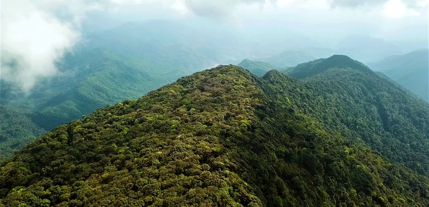 Nam Et-Phou Louey National Park – The Heart of NorthEast Laos