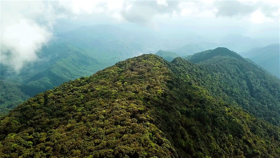 Nam Et-Phou Louey National Park – The Heart of NorthEast Laos