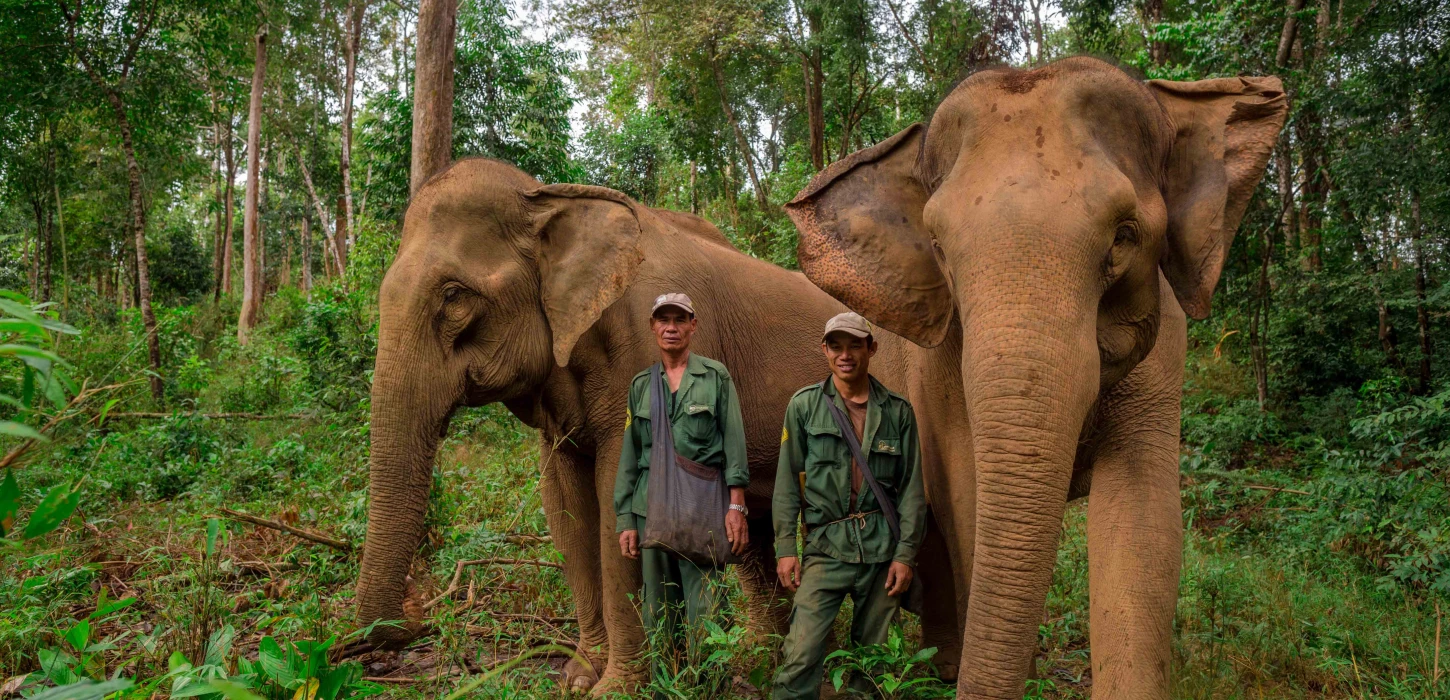 The Elephant Conservation Center