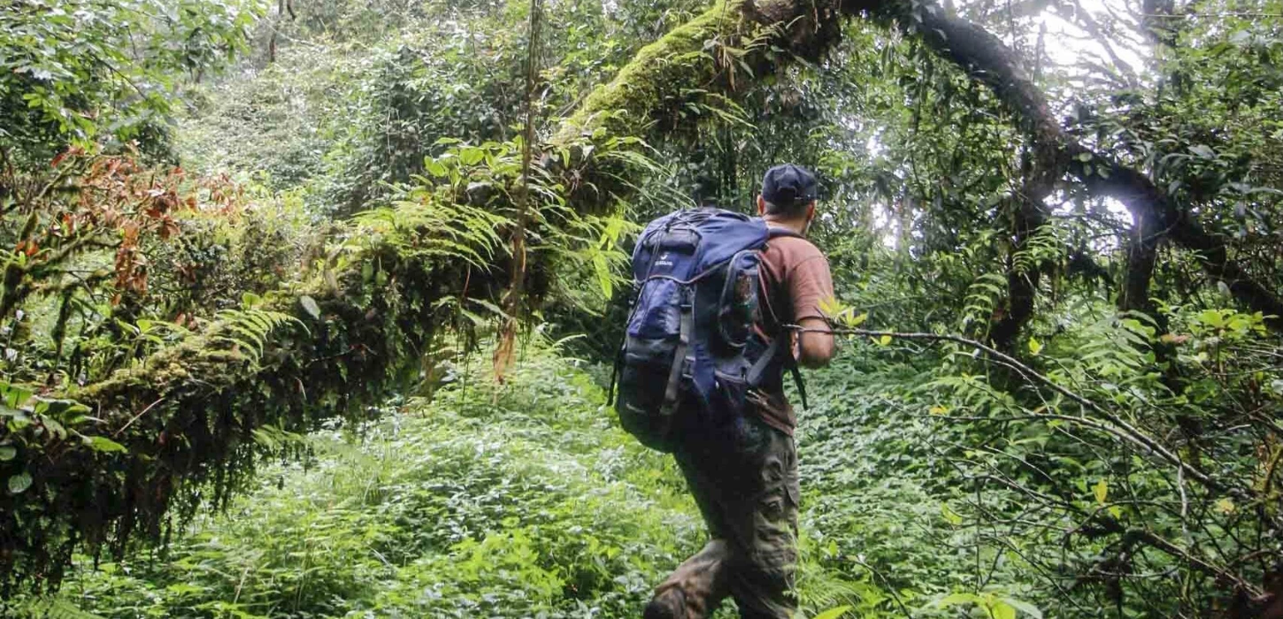 将旅行与野生动物保护联系起来