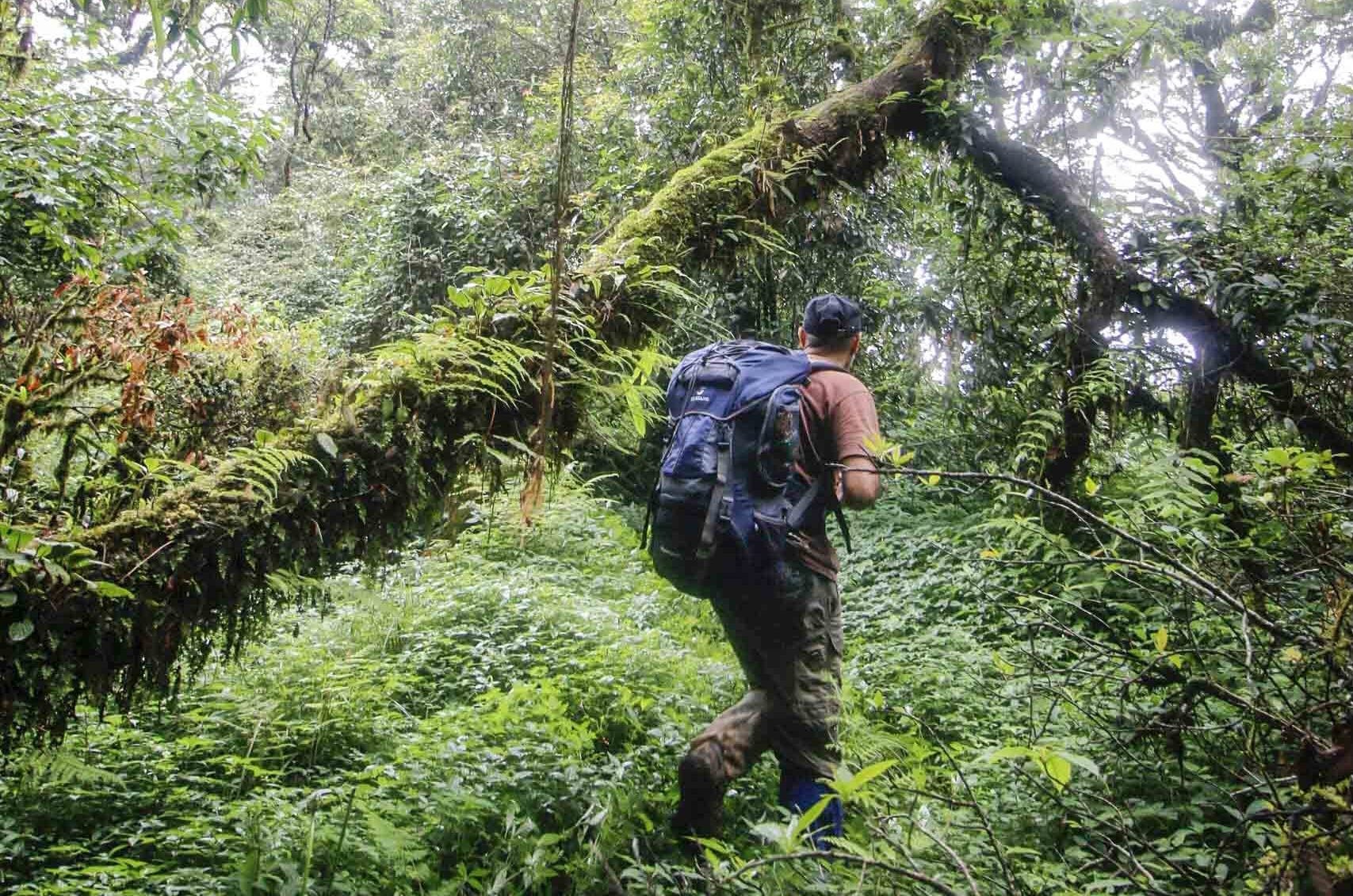 将旅行与野生动物保护联系起来