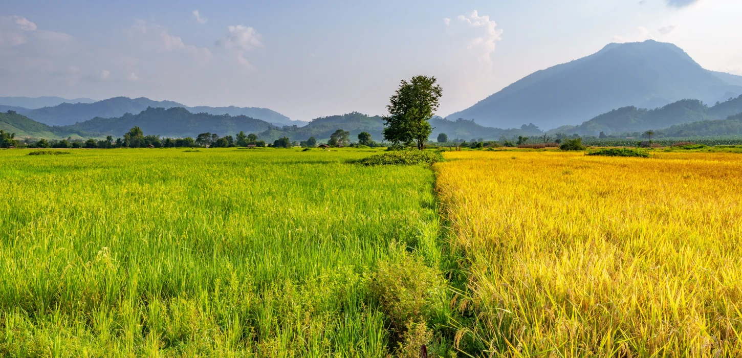 Why Laos should be your next travel destination