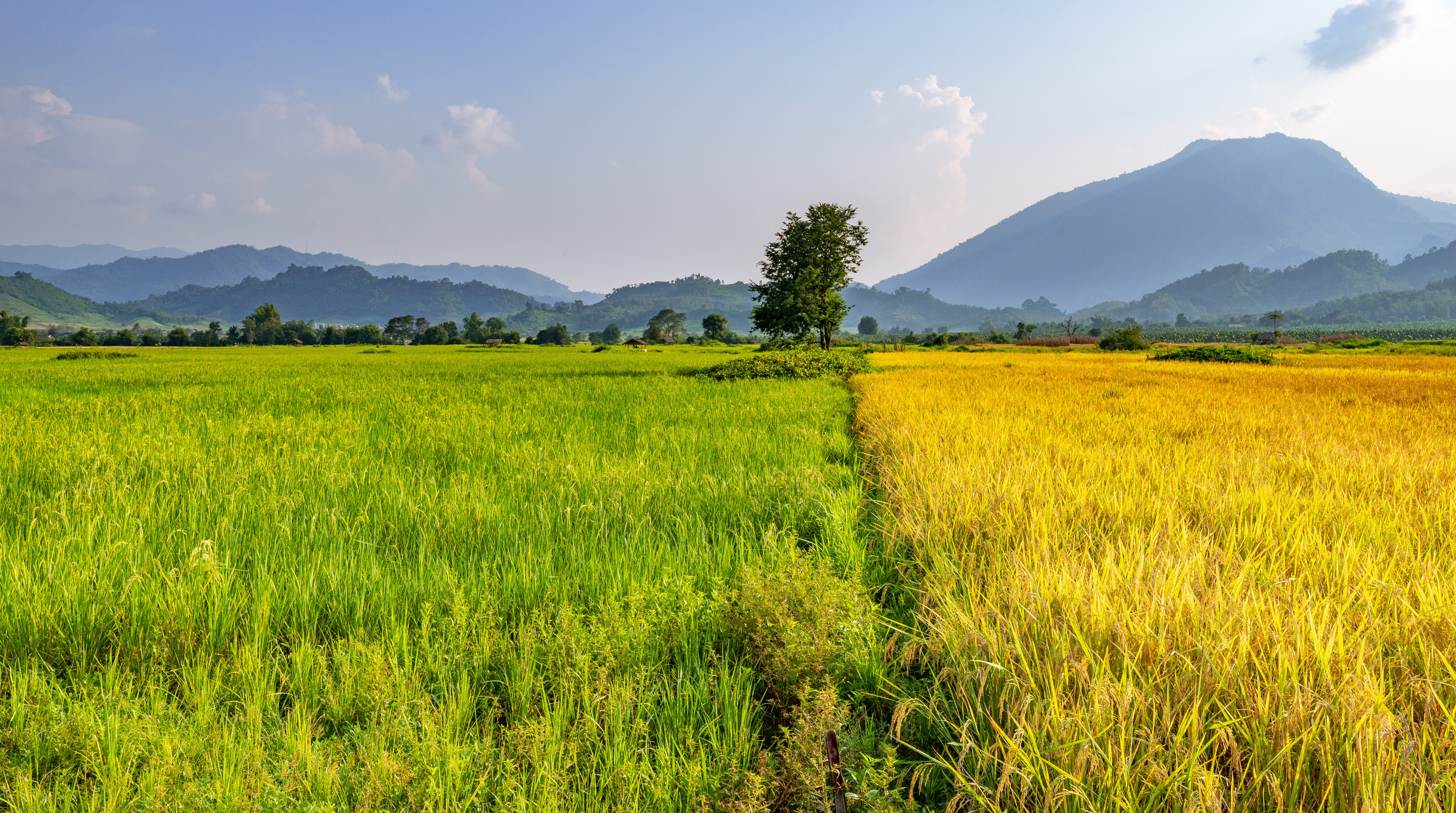 为什么老挝应该成为您下一个旅行目的地