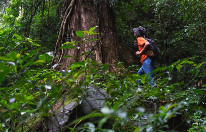 ການທ່ອງທ່ຽວທາງທຳມະຊາດ ແບບອານຸລັກ