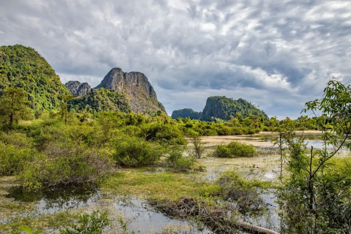 Photo by : Tarannosaurus