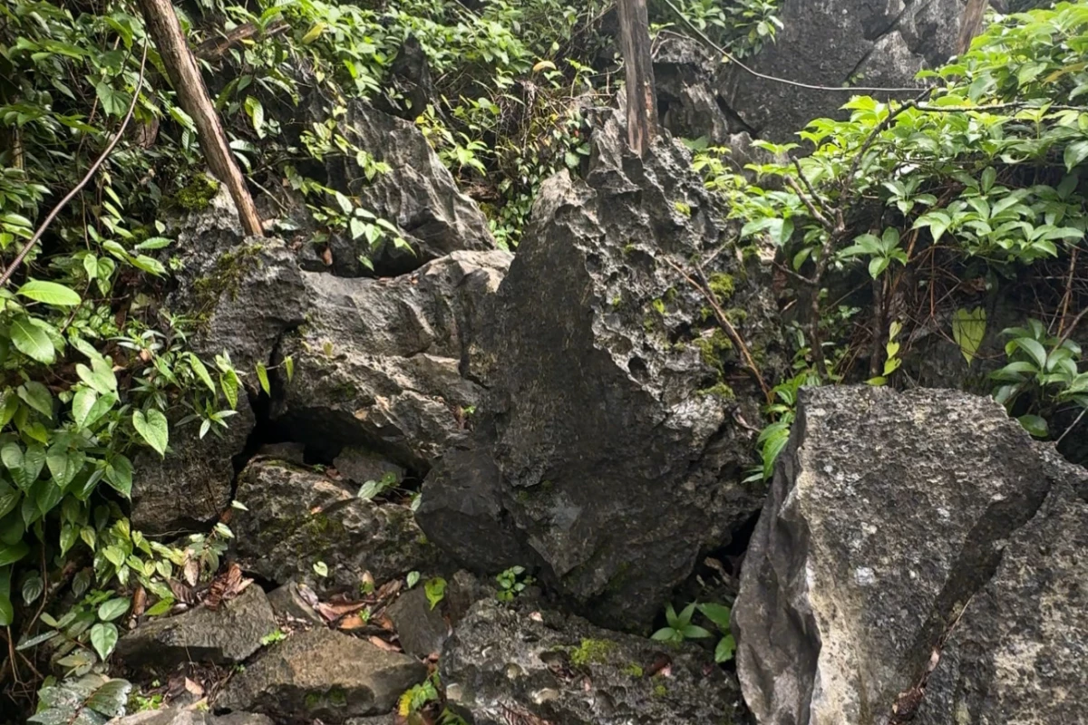 Pha Ngeun Viewpoint (Silver Cliff)
