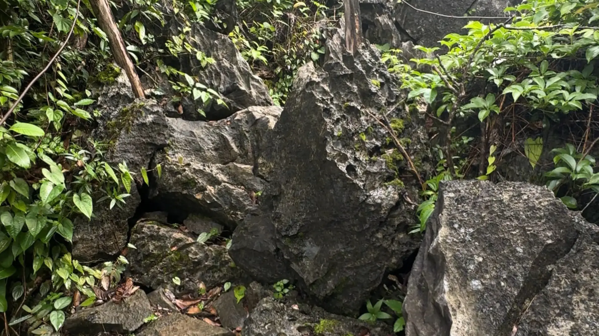 Pha Ngeun Viewpoint (Silver Cliff)