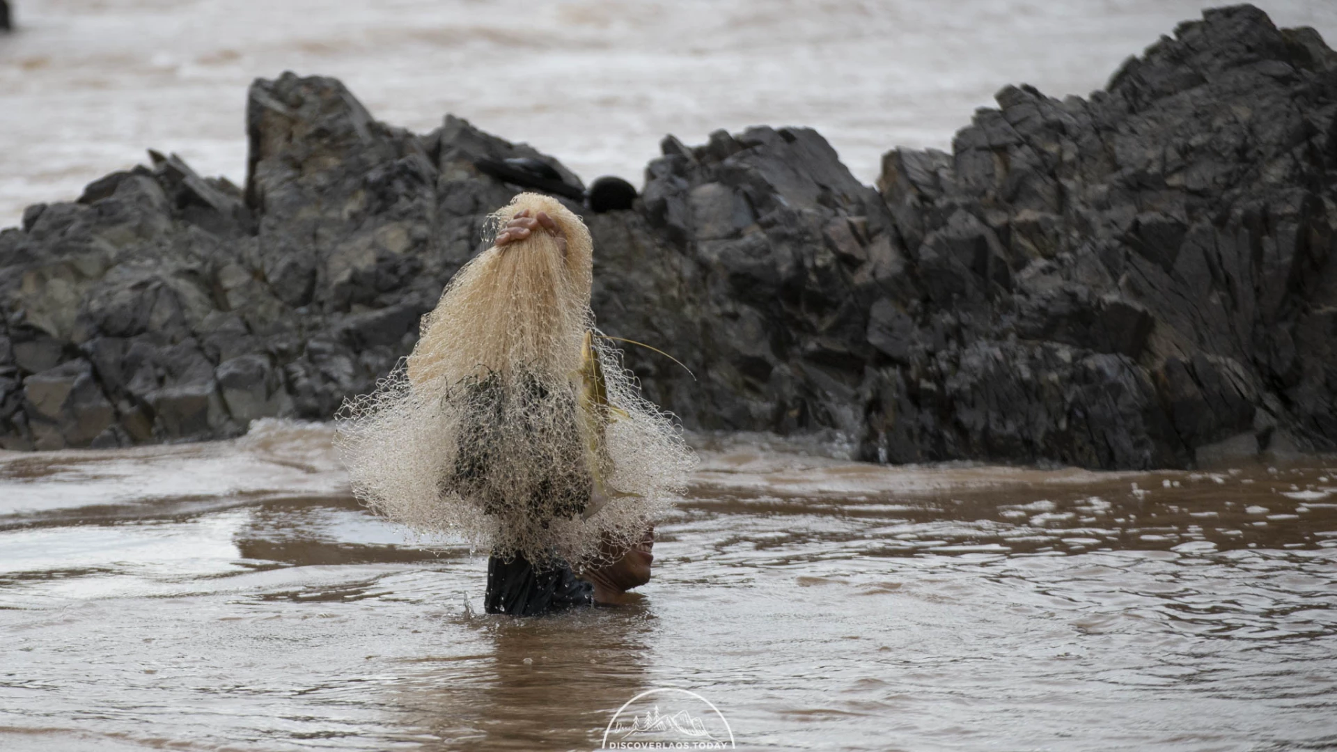 Local fisherman