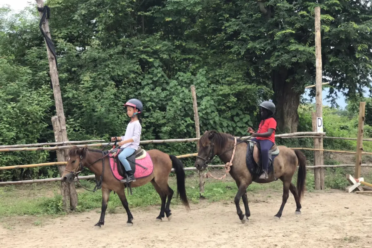 Pony Ride Experience in Luang Prabang