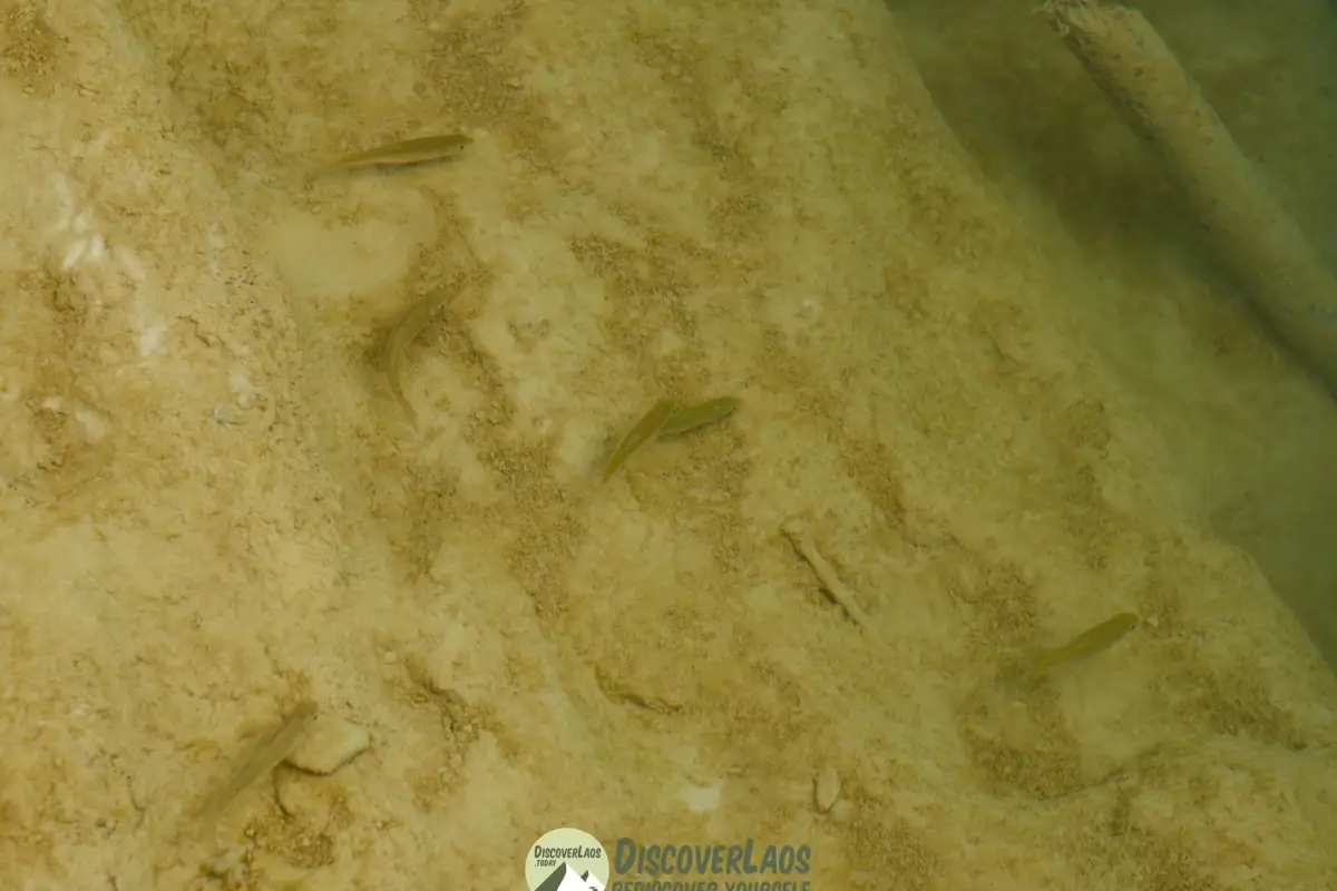 ນ້ຳຕົກຕາດ ກວາງຊີ