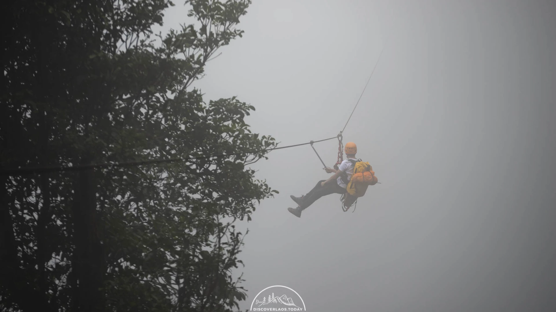 Tree Top Explorer