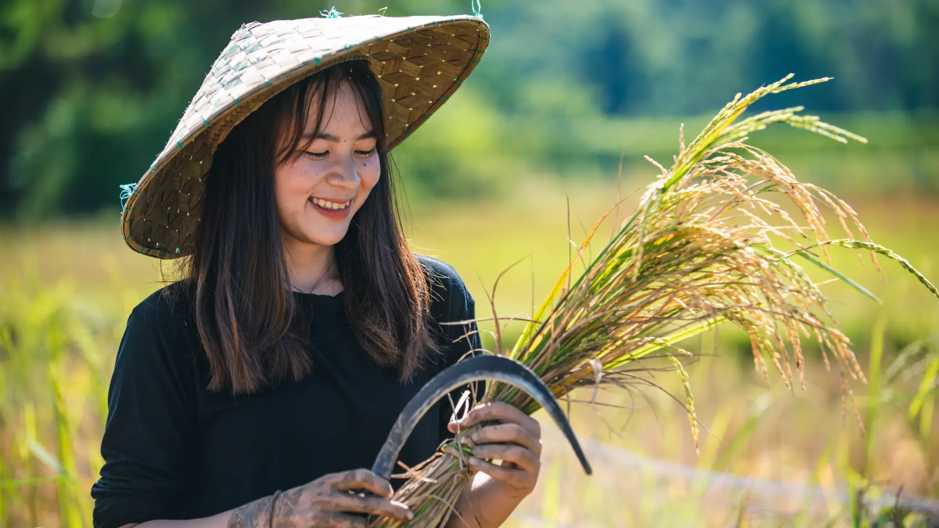 The Living Land Farm -  Rice Farming Experience