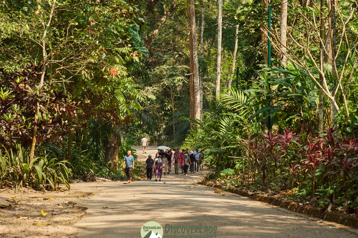 ນ້ຳຕົກຕາດ ກວາງຊີ