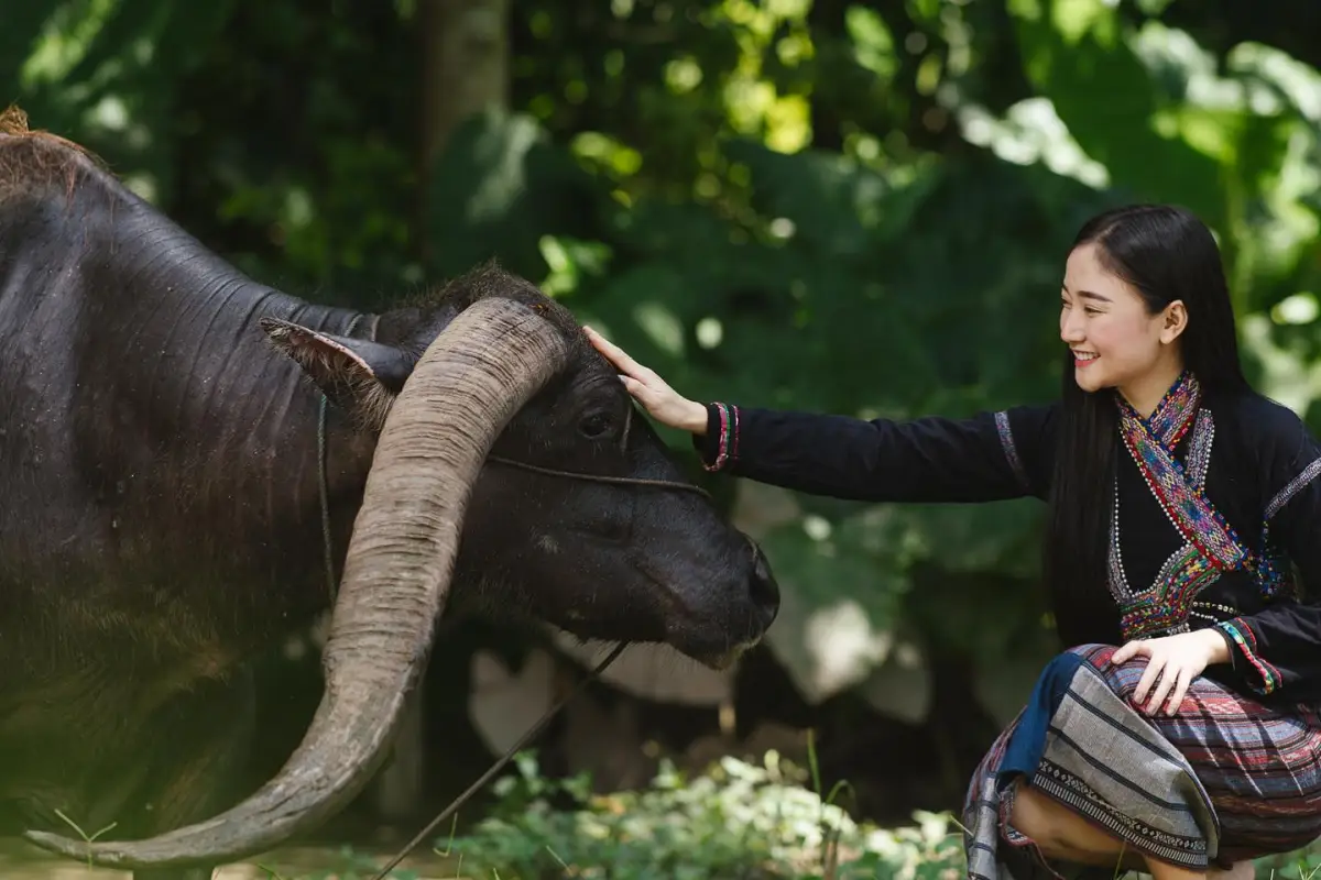 Tad Hoi Khua / Green Jungle