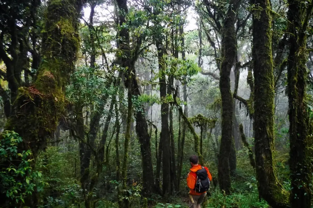 Nam Et-Phou Louey National Park