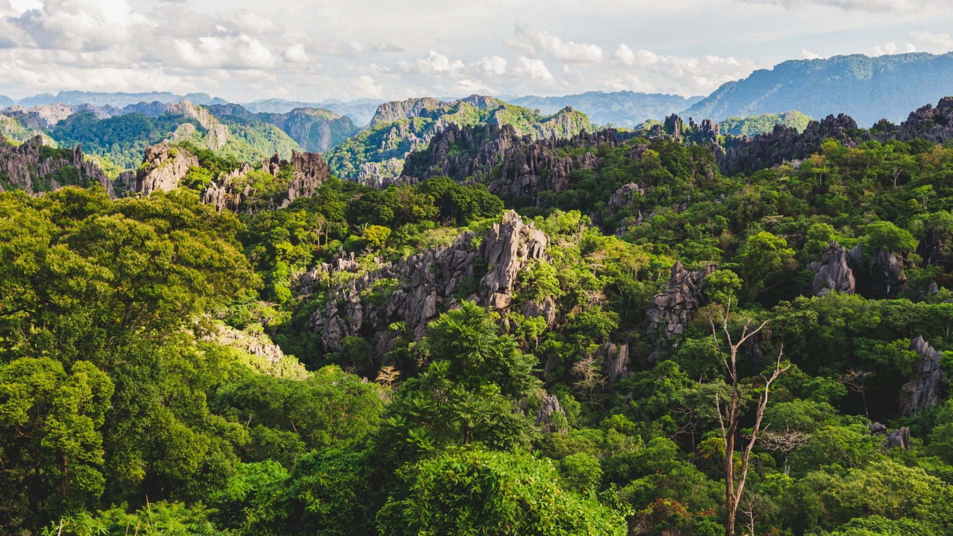 The Rock Viewpoint at Phou Pha Marn