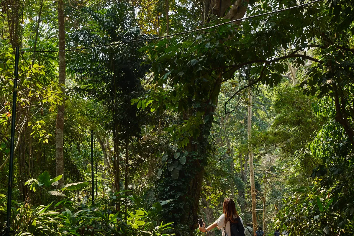 ນ້ຳຕົກຕາດ ກວາງຊີ