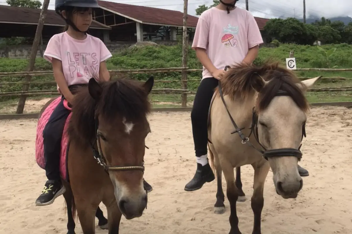 Pony Ride Experience in Luang Prabang