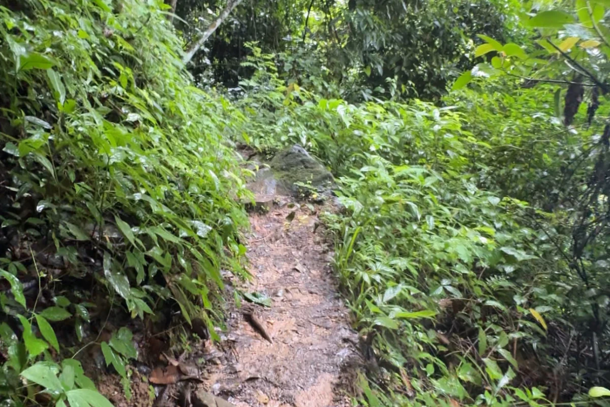 Pha Ngeun Viewpoint (Silver Cliff)