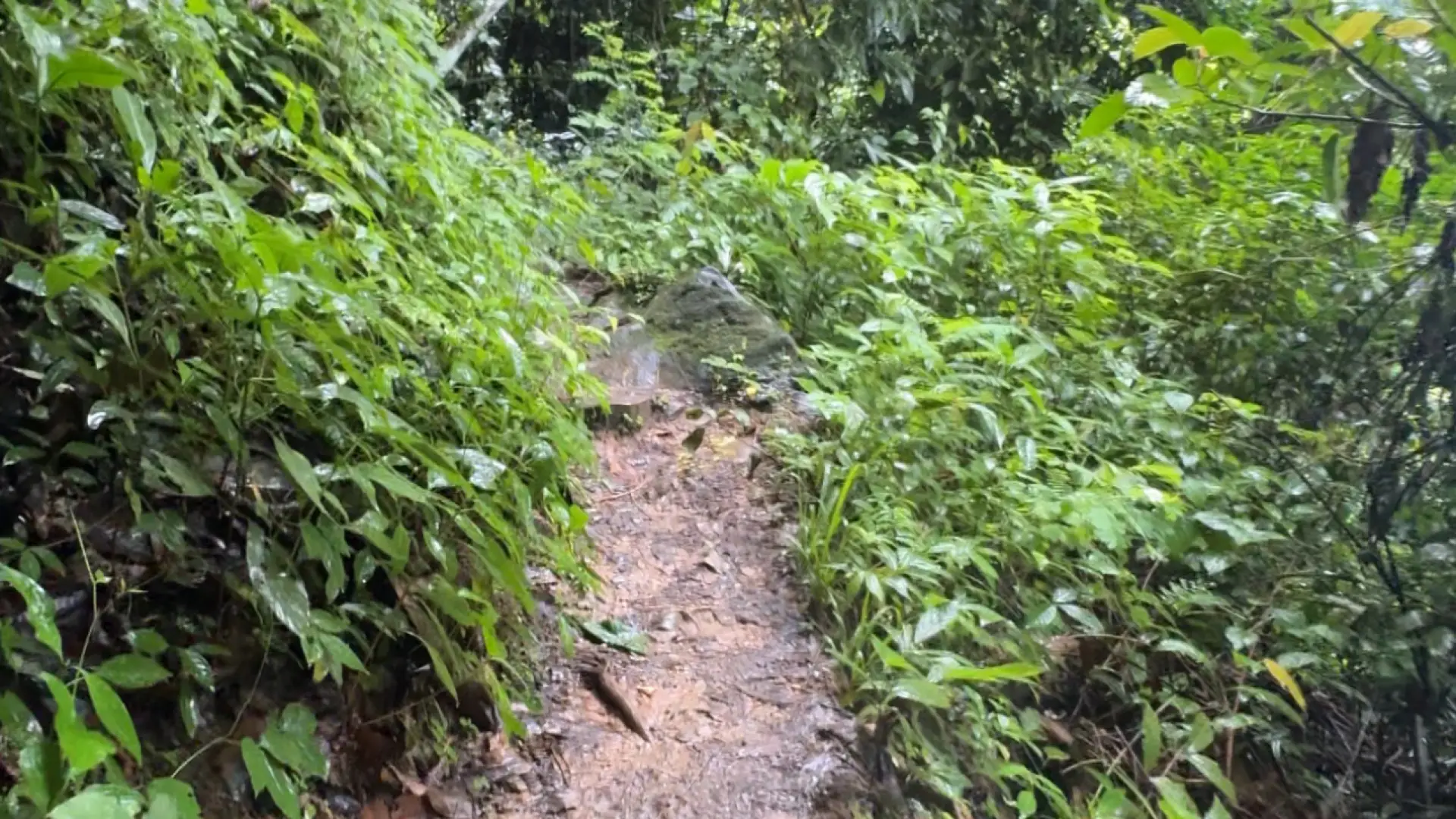 Pha Ngeun Viewpoint (Silver Cliff)