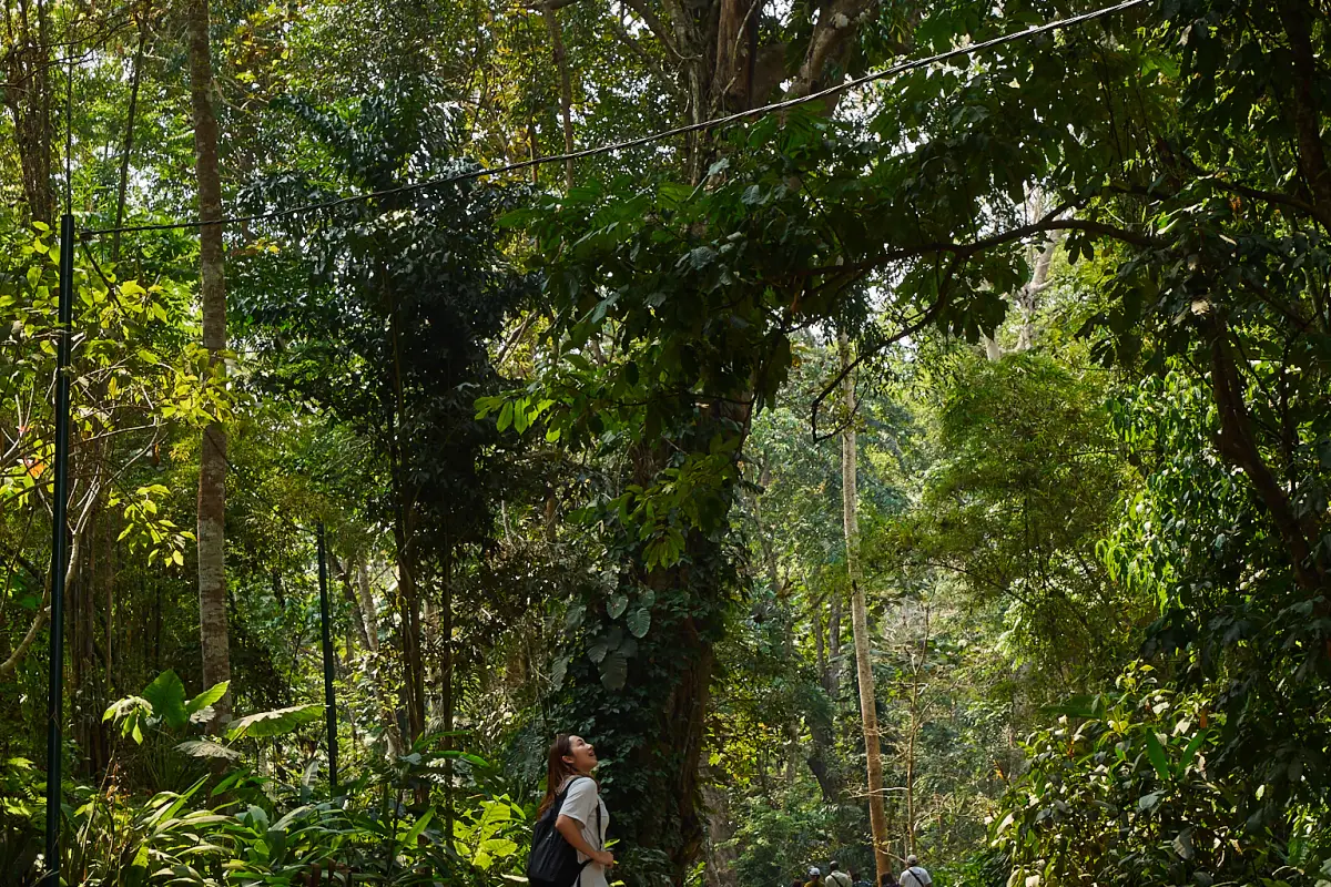 ນ້ຳຕົກຕາດ ກວາງຊີ